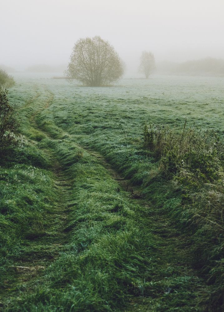 Photograph by Анатолий Вахрушев