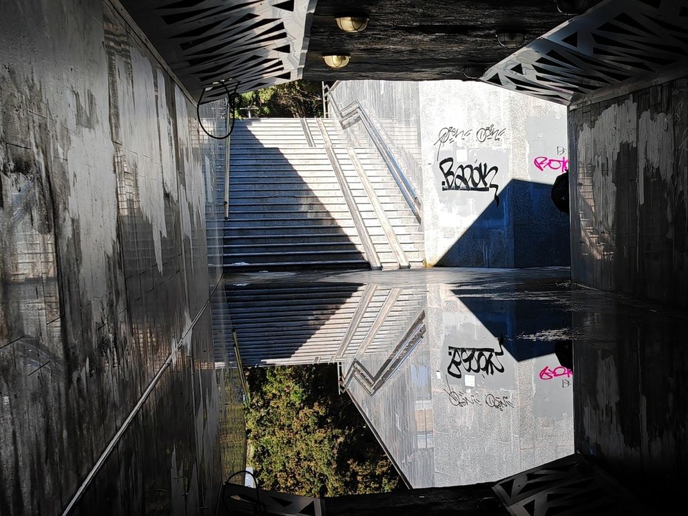 Фотография автора OXANA NAUMOVA