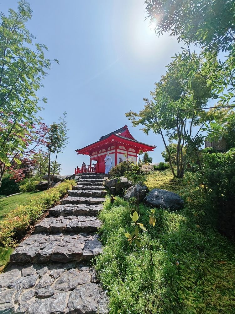 Фотография автора OXANA NAUMOVA