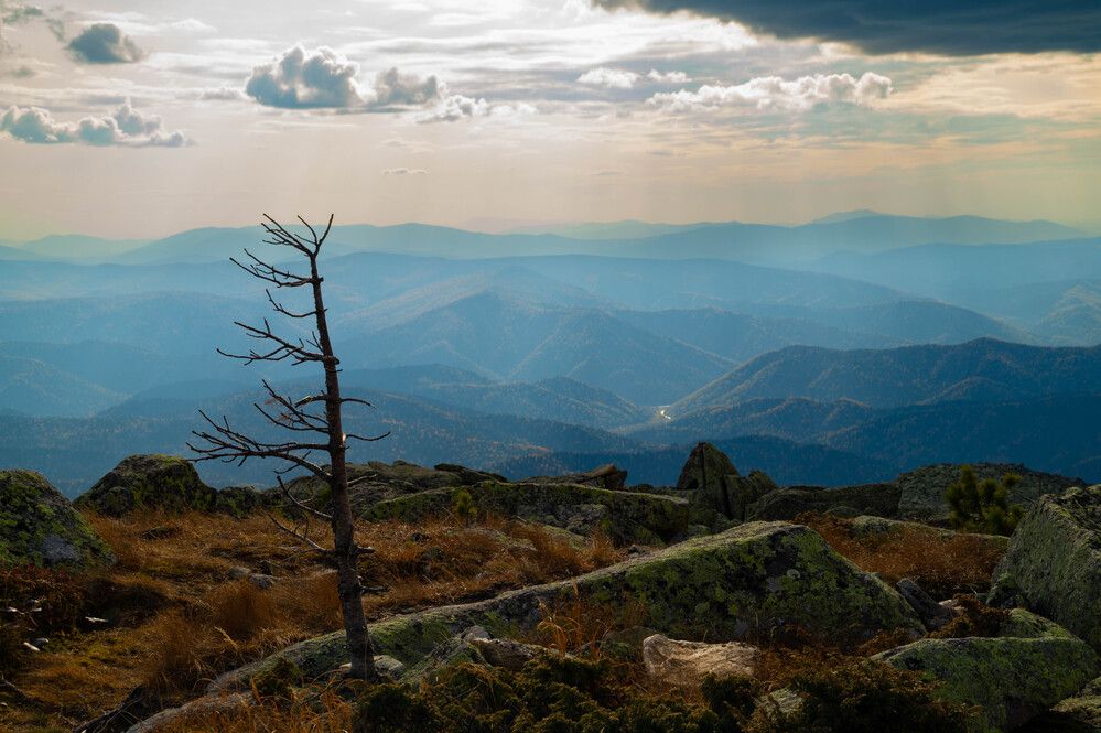 Photograph by Дубровин Николай