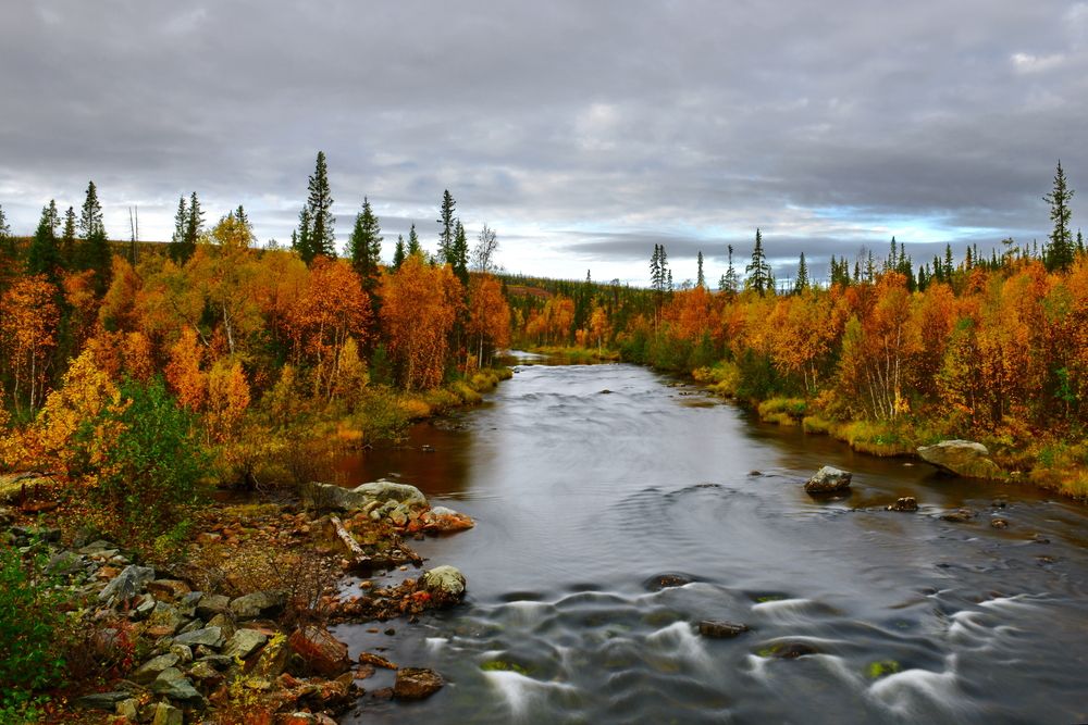 Photograph by Олег Корешонков