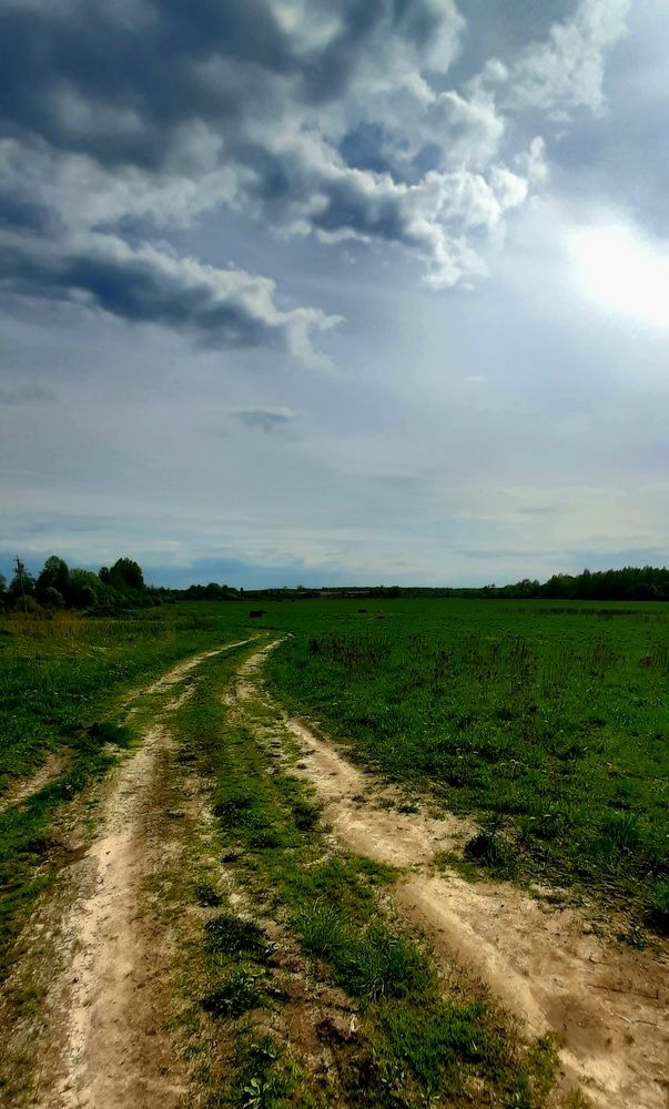 Photograph by Виктория Жаворонкова
