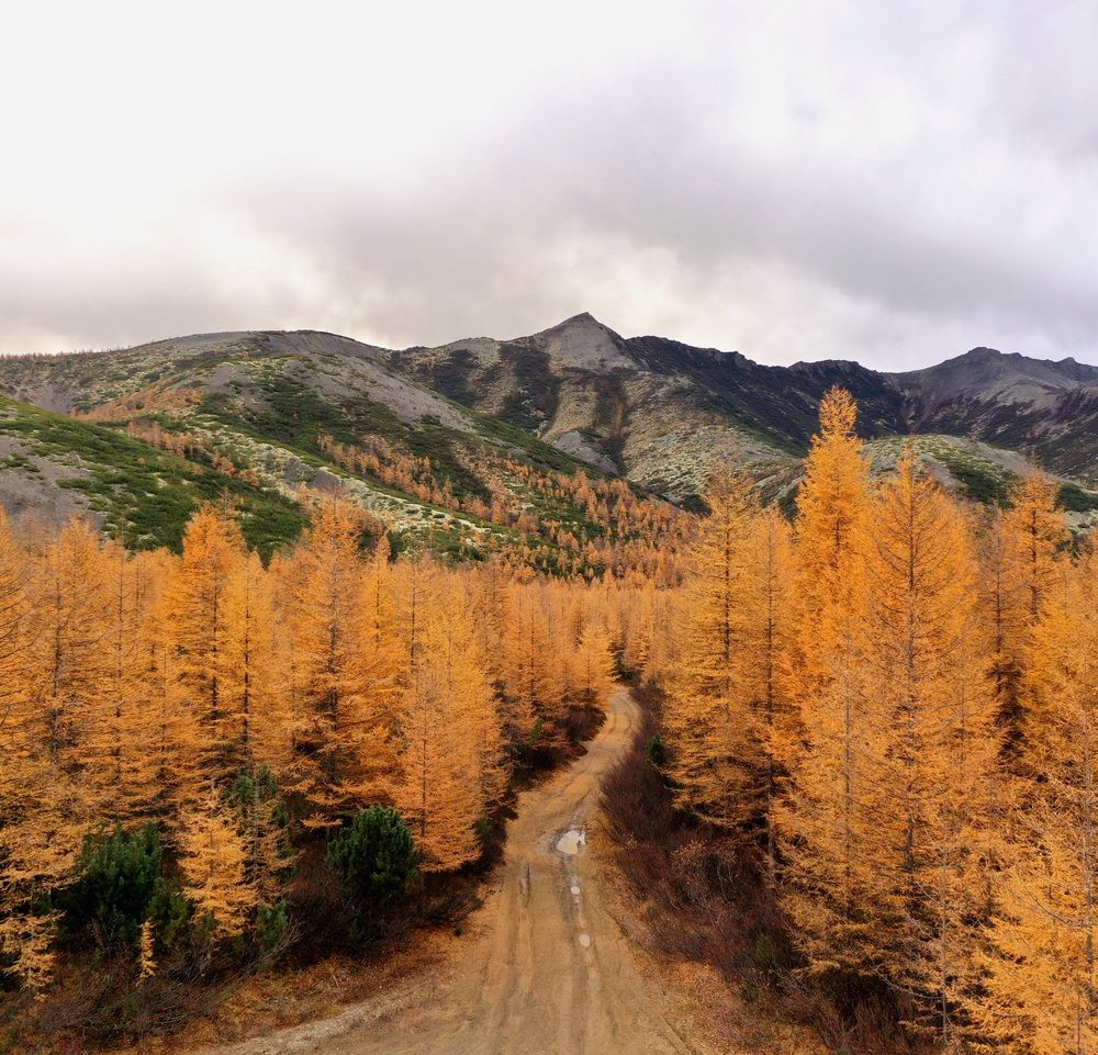 Photograph by Лариса Ким