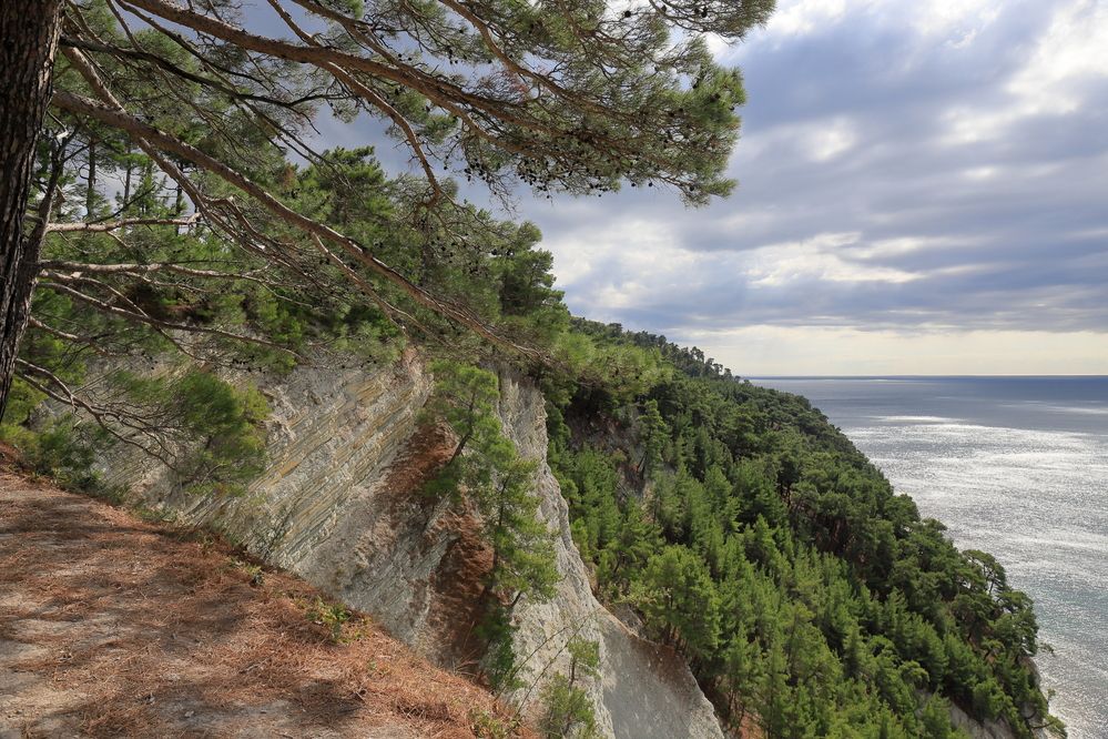 Photograph by Дубина Леонид