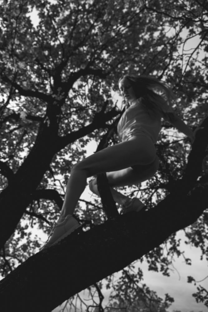 Фотография автора Александров Алексей