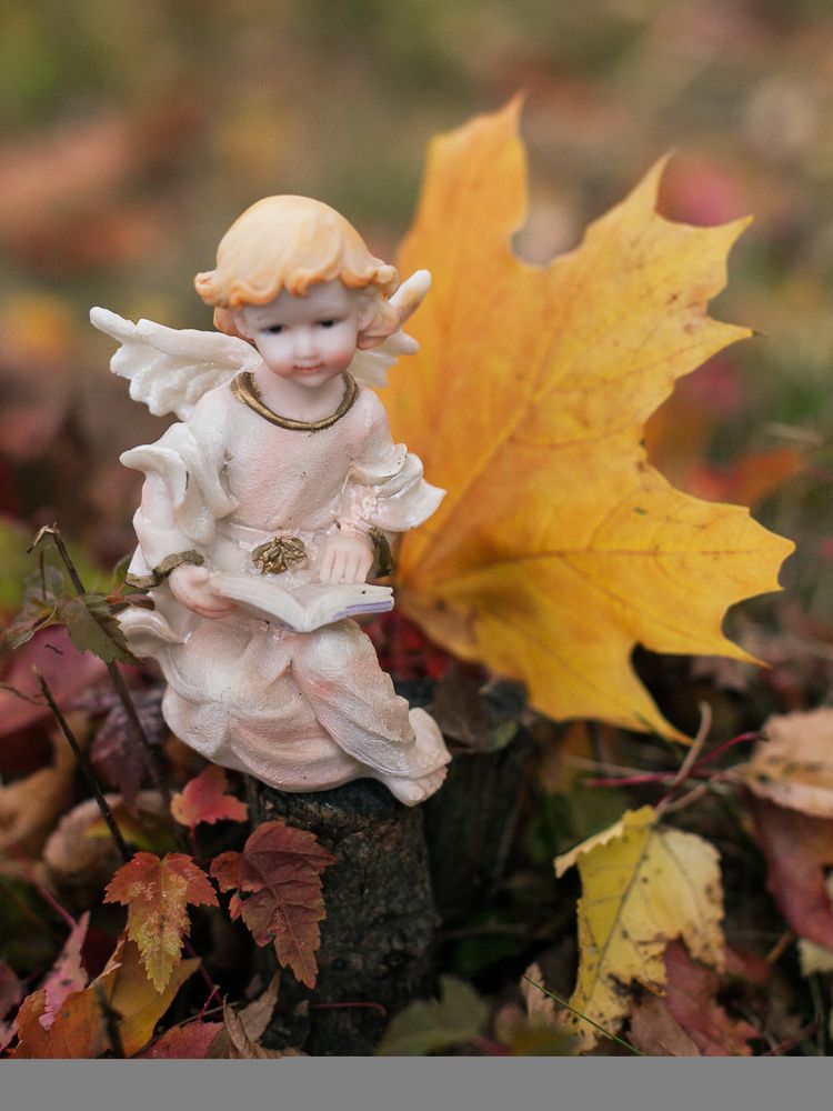 Photograph by Лолита Богачева