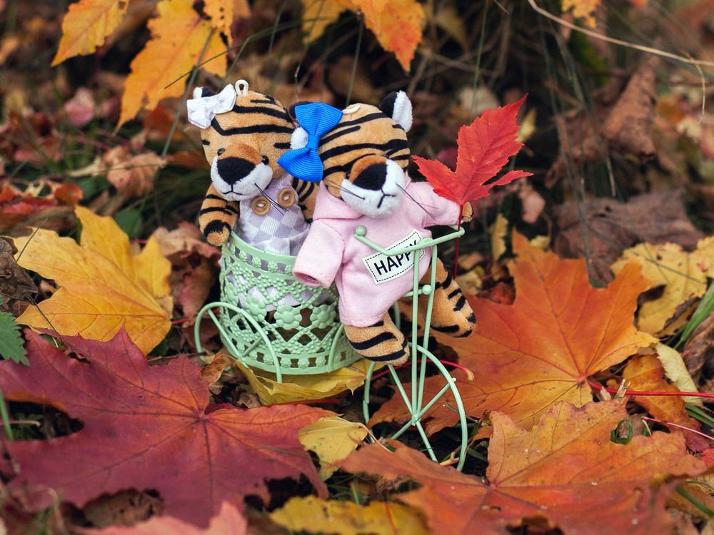 Photograph by Лолита Богачева