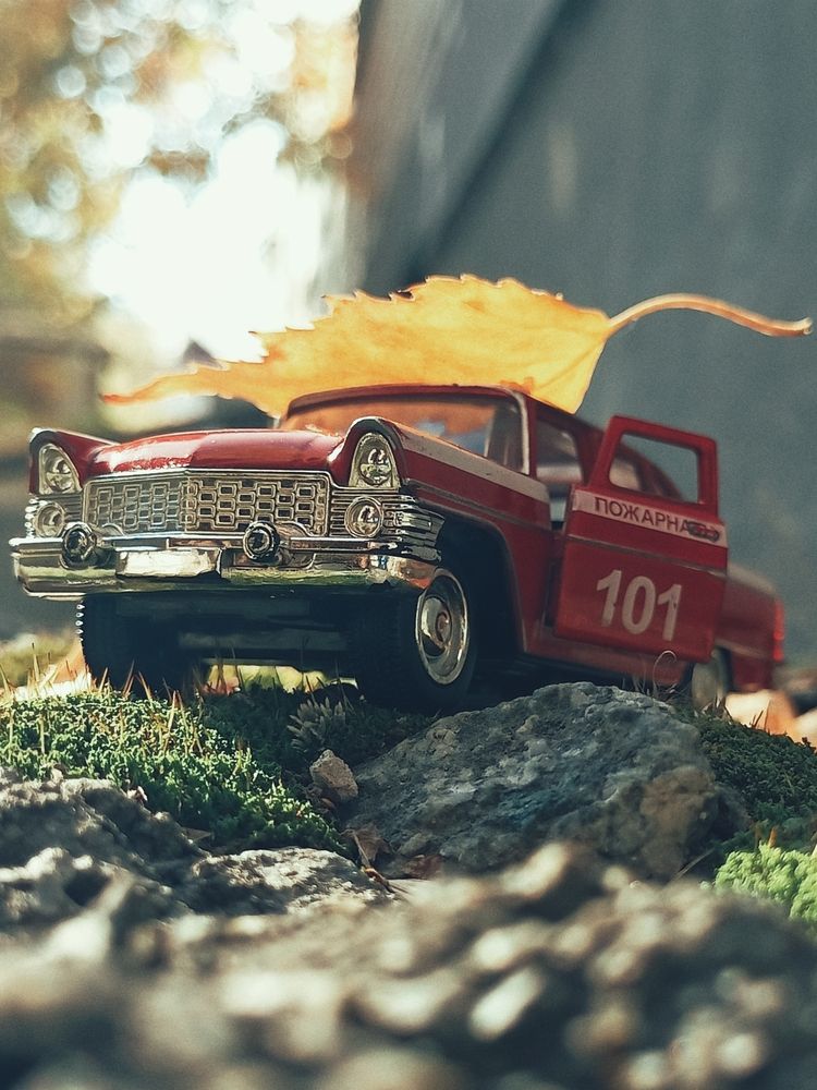 Фотография автора Татьяна Шахова