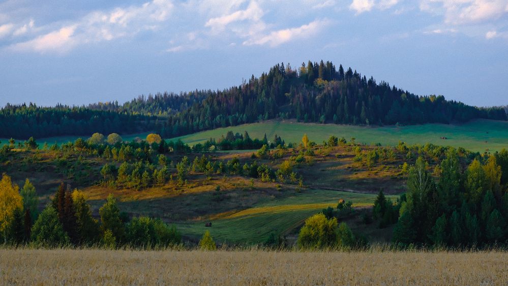 Photograph by Ксения Широбокова