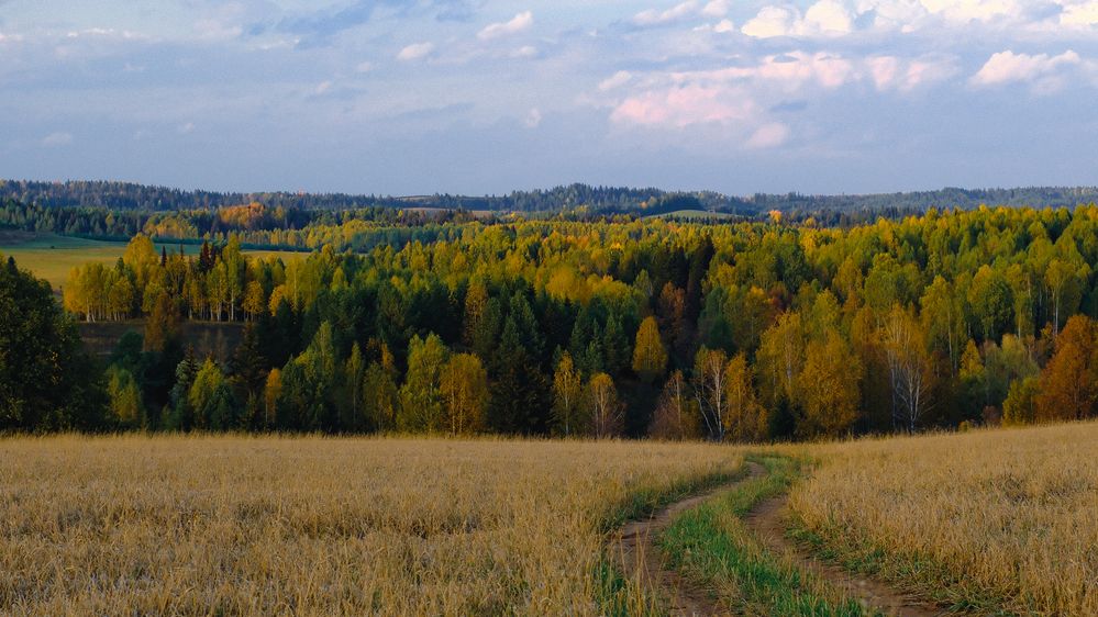 Photograph by Ксения Широбокова