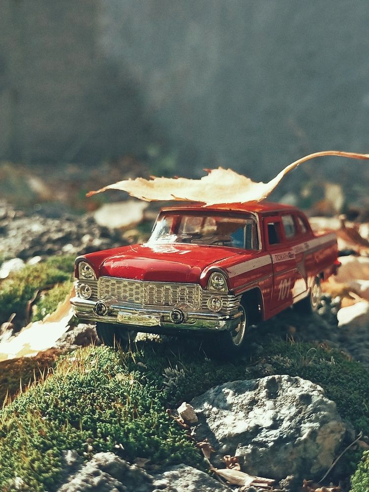 Фотография автора Татьяна Шахова