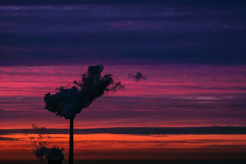 Фотография автора Васильев Роман