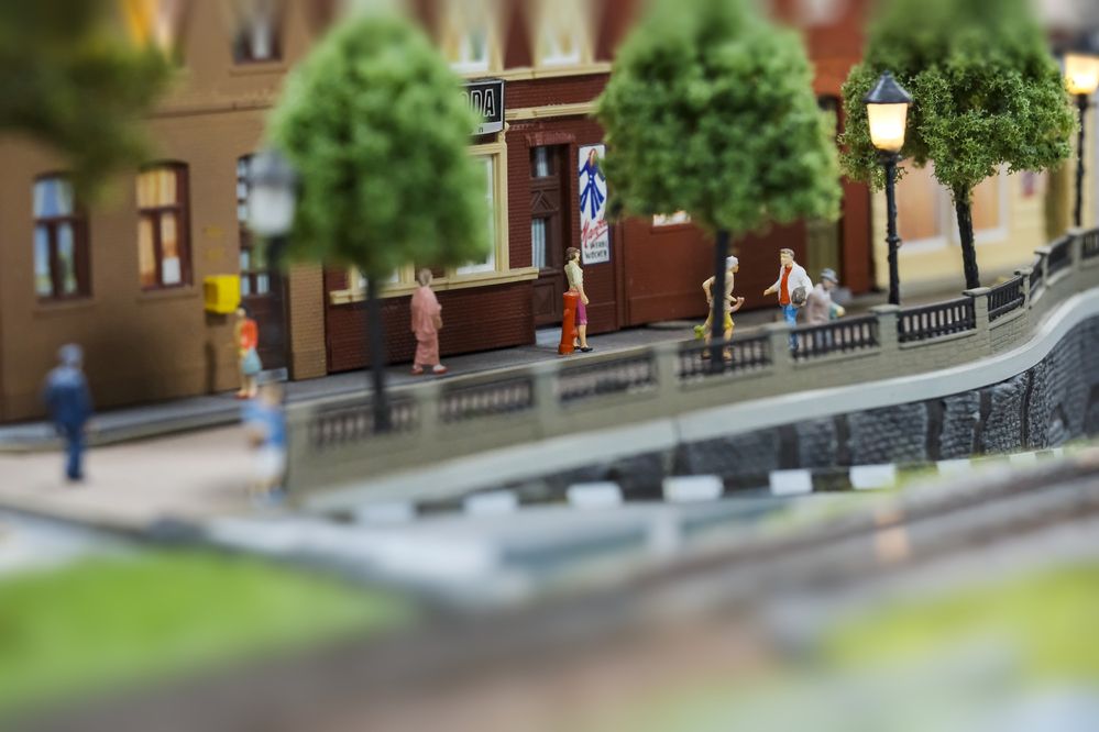 Фотография автора Васильев Роман