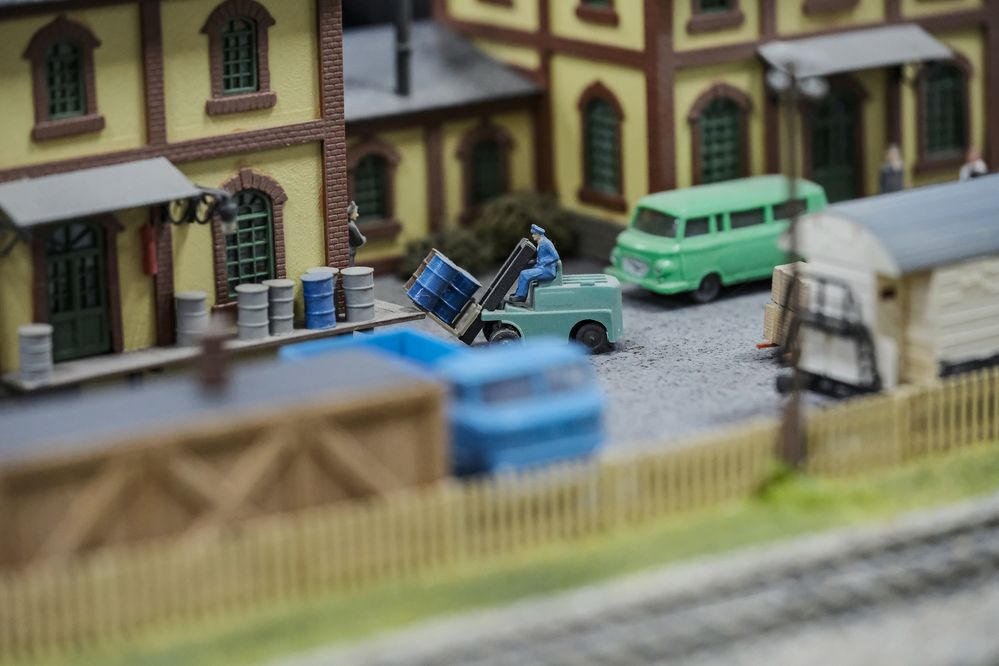 Фотография автора Васильев Роман