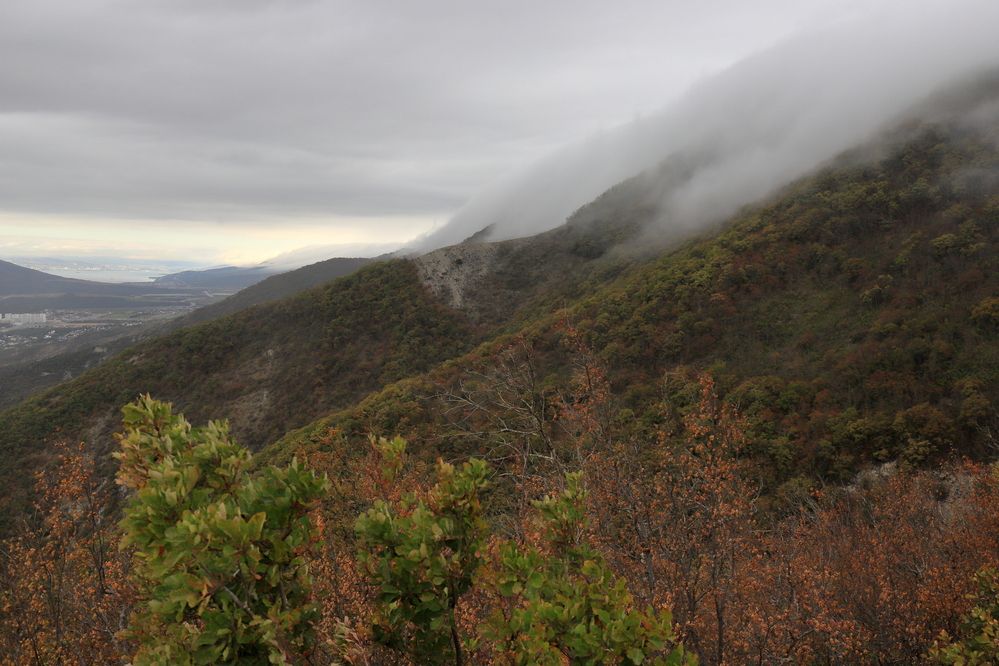 Photograph by Дубина Леонид