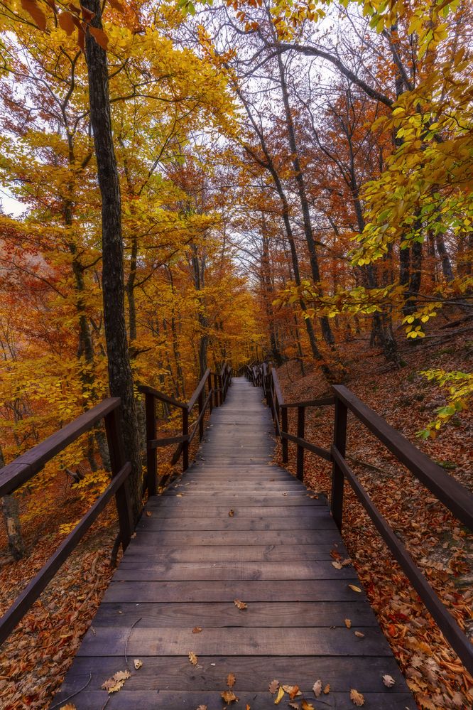 Photograph by Юлия Мальцева