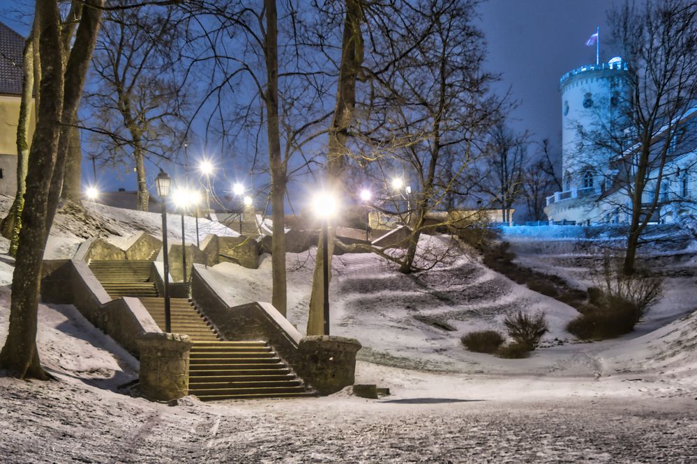 Photograph by Janis Serdienis