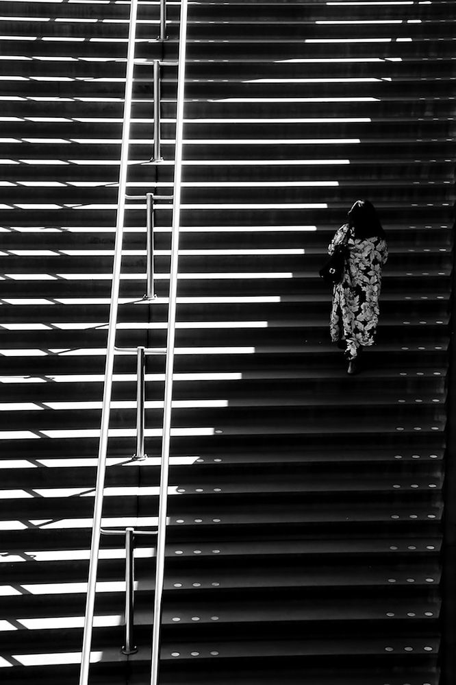 Фотография автора Karim Shokair