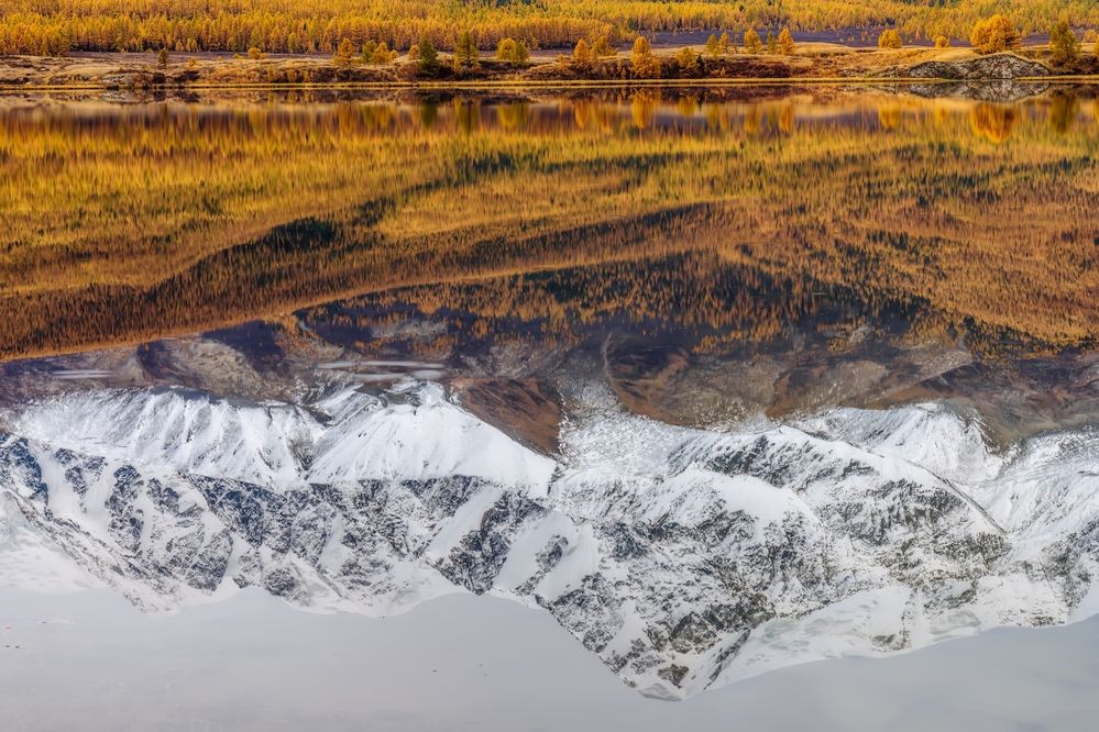 Зазеркалье