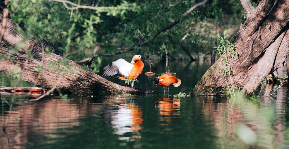 Photograph by Денис