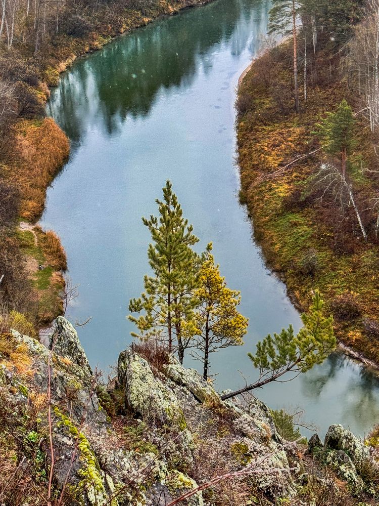 Фотография автора Галина Шиманцова