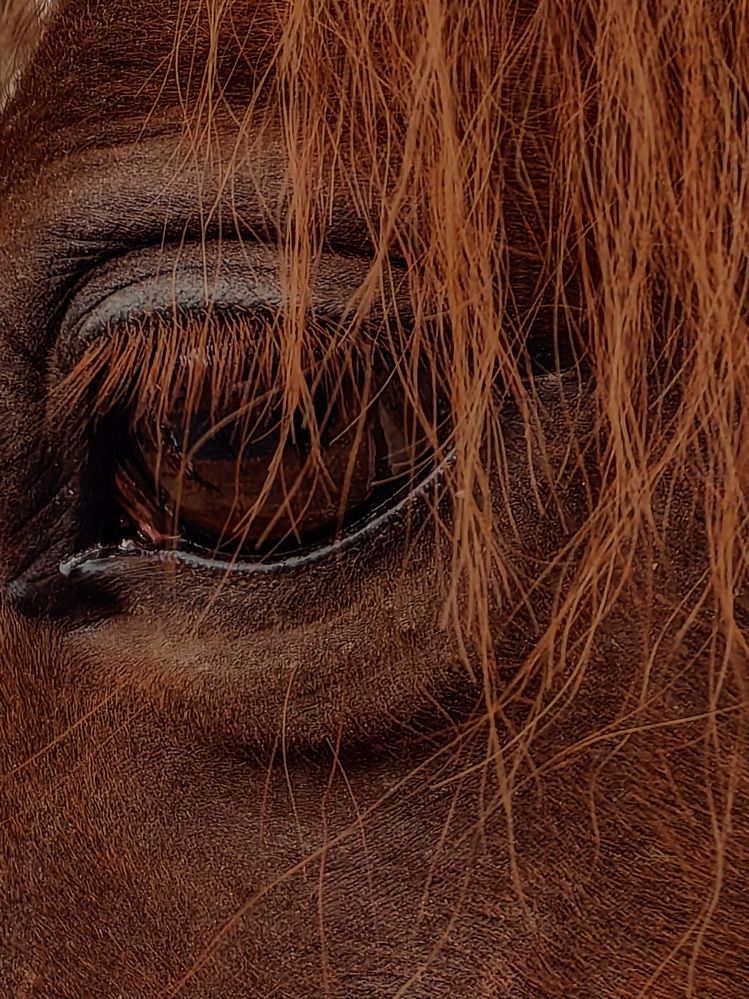 Photograph by Лолита Богачева