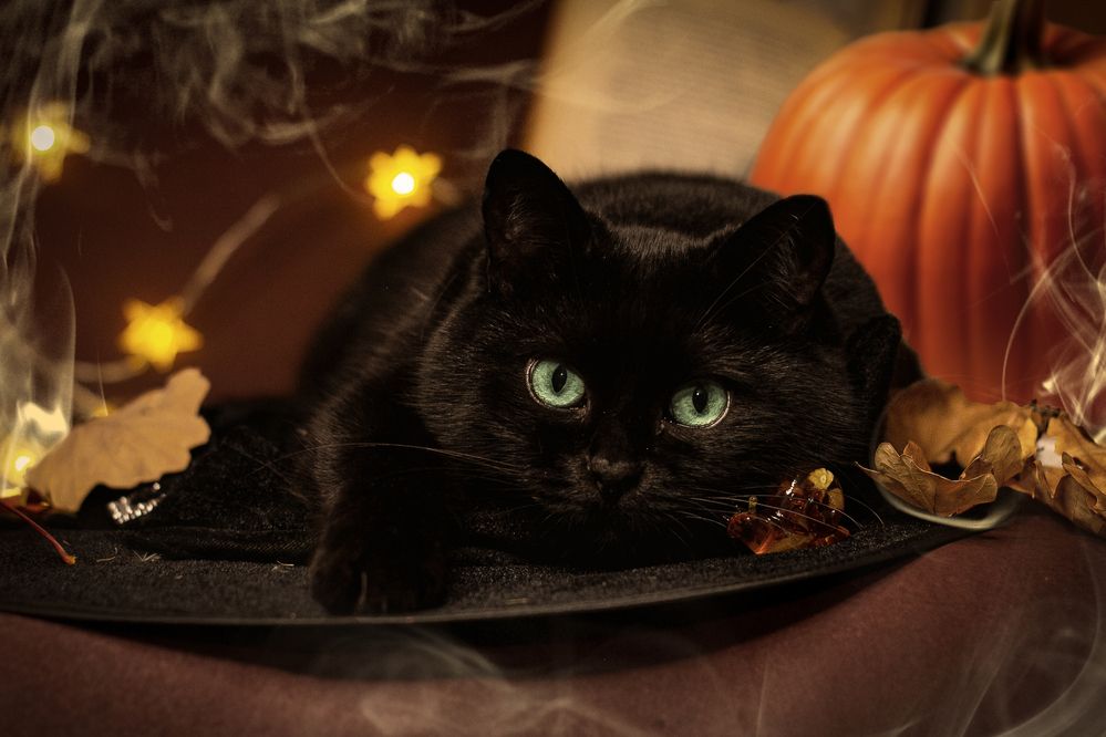 Photograph by Екатерина Пантелеева