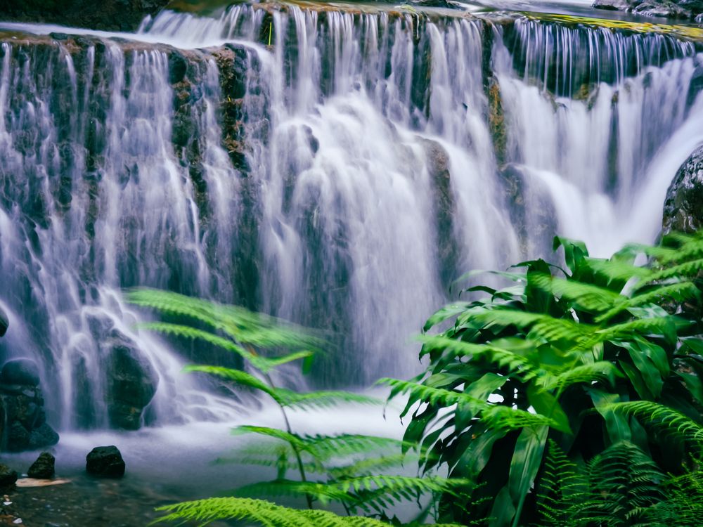 Фотография автора Edi Hidayat