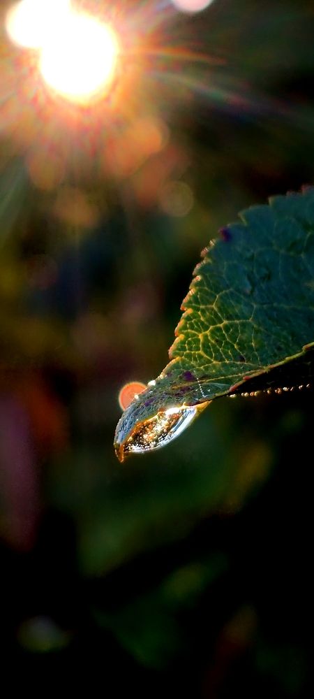 Photograph by Nаtaliia Zolotova
