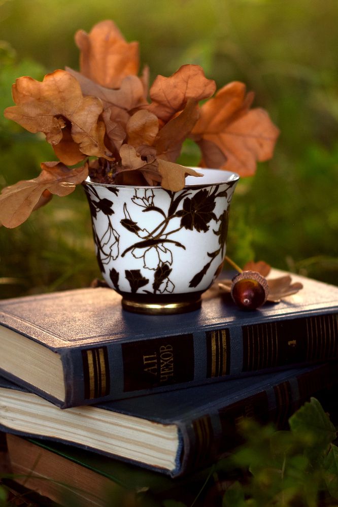 Photograph by Екатерина Пантелеева