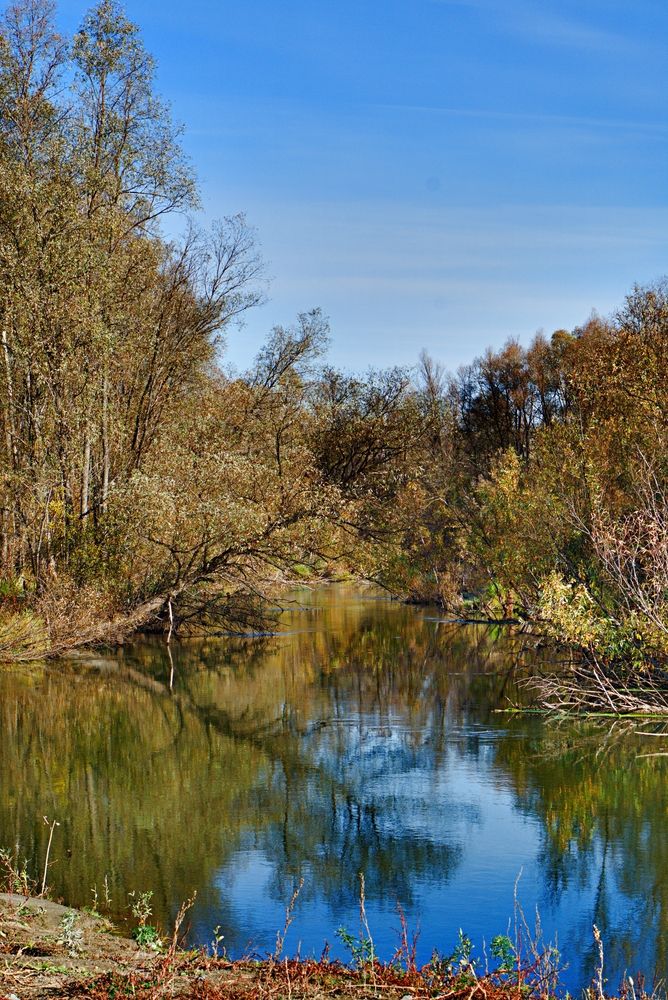 Осенняя протока