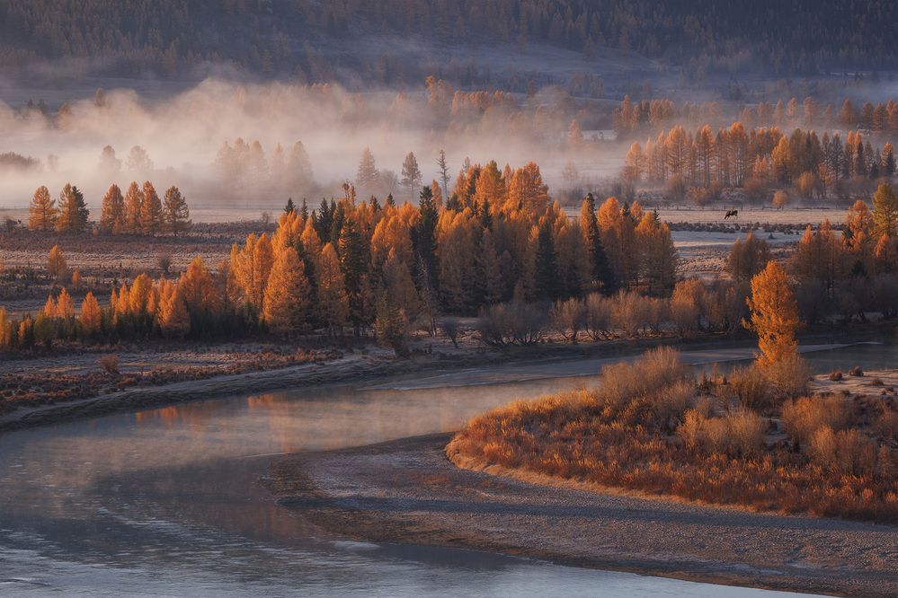 Photograph by Морозов Сергей