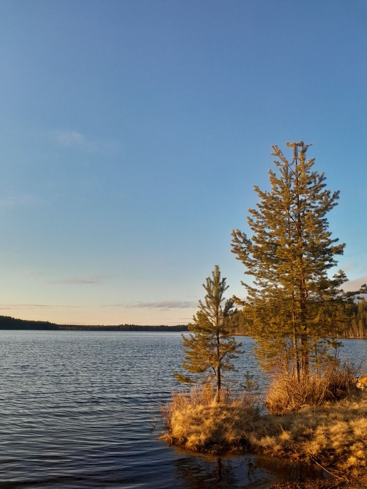 Photo #12674203