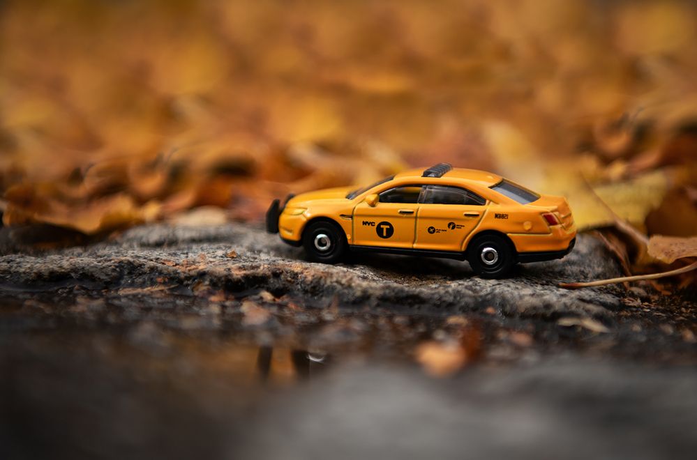 Фотография автора Юлия Борт