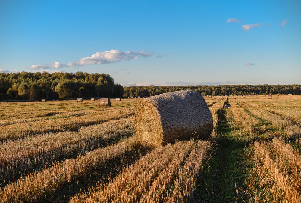 Photograph by Мария Ирешева