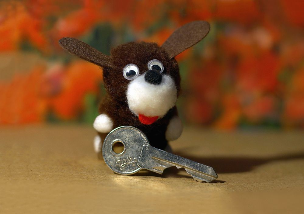 Фотография автора Е лена Е