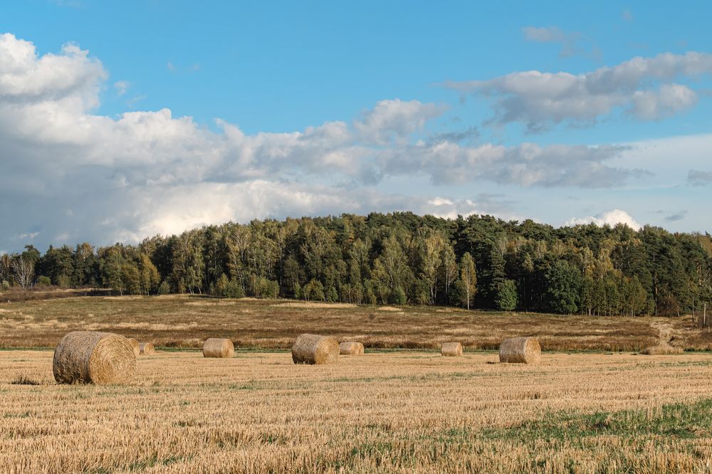 Photograph by Мария Ирешева