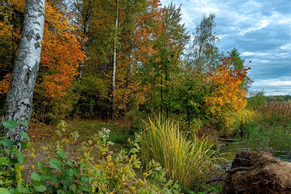 Photograph by Михаил Косолапов