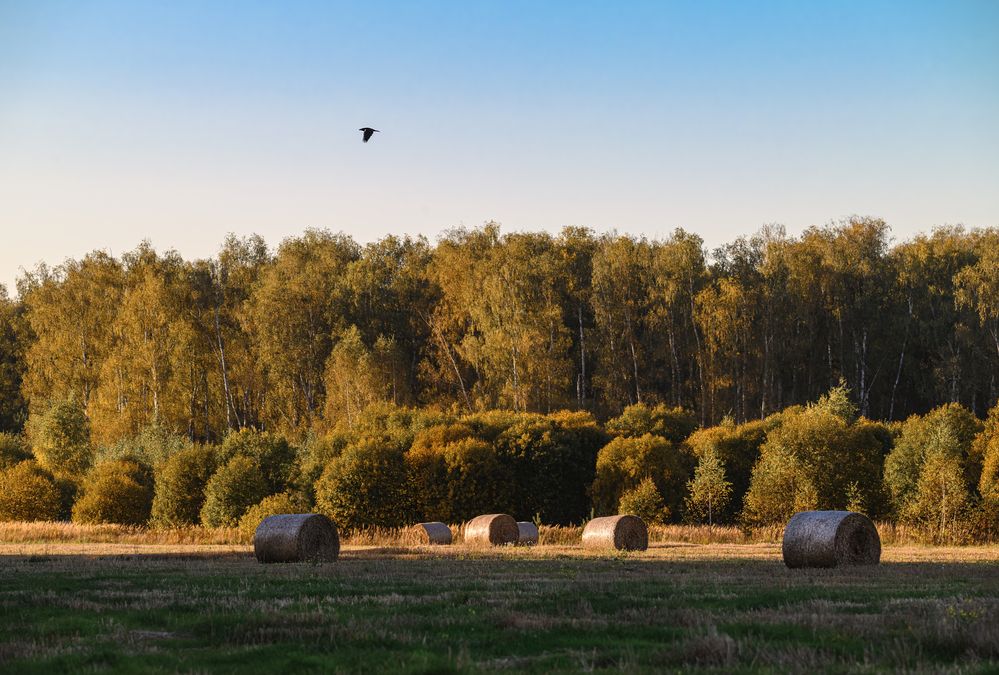 Photograph by Мария Ирешева