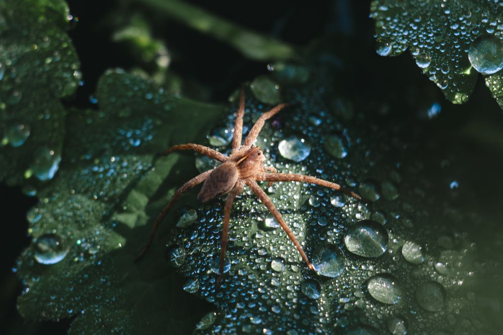 Photograph by Виктория