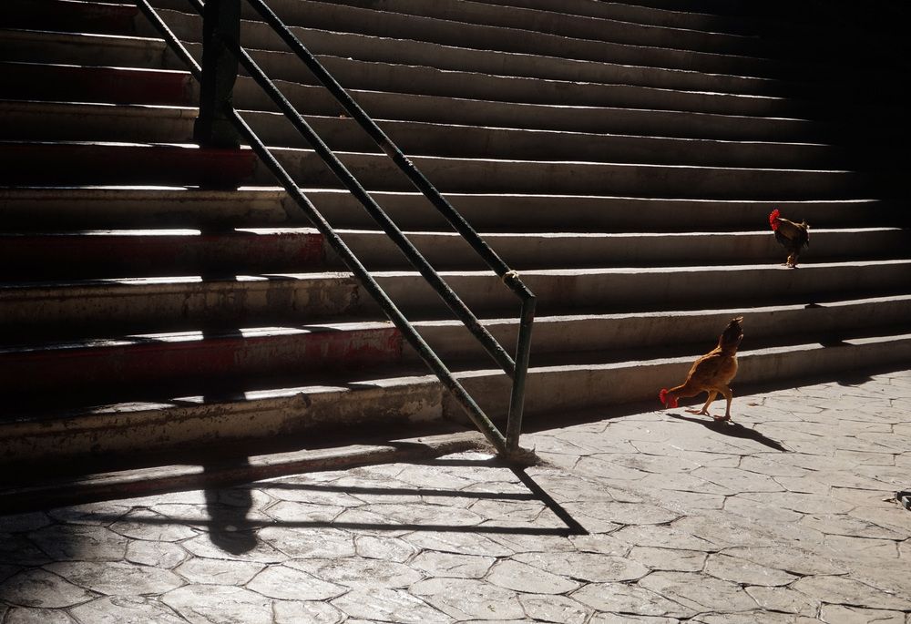 Photograph by Лена Максимкина