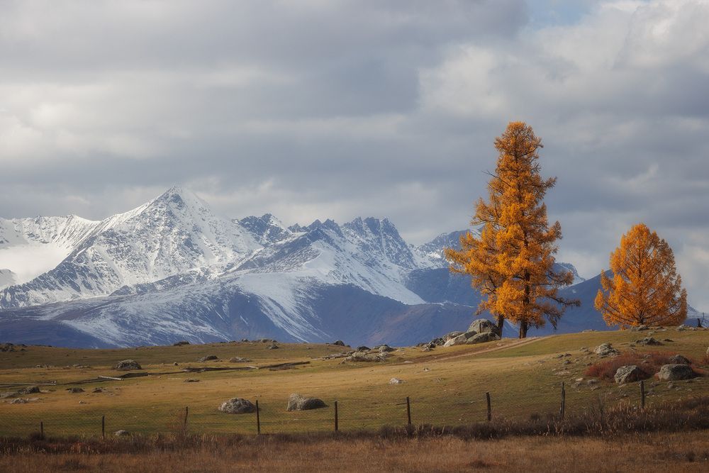 Photograph by Морозов Сергей