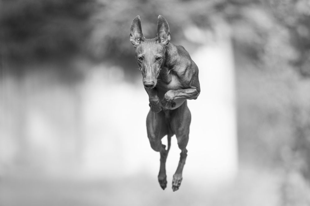 Photograph by Яна Нарбутович