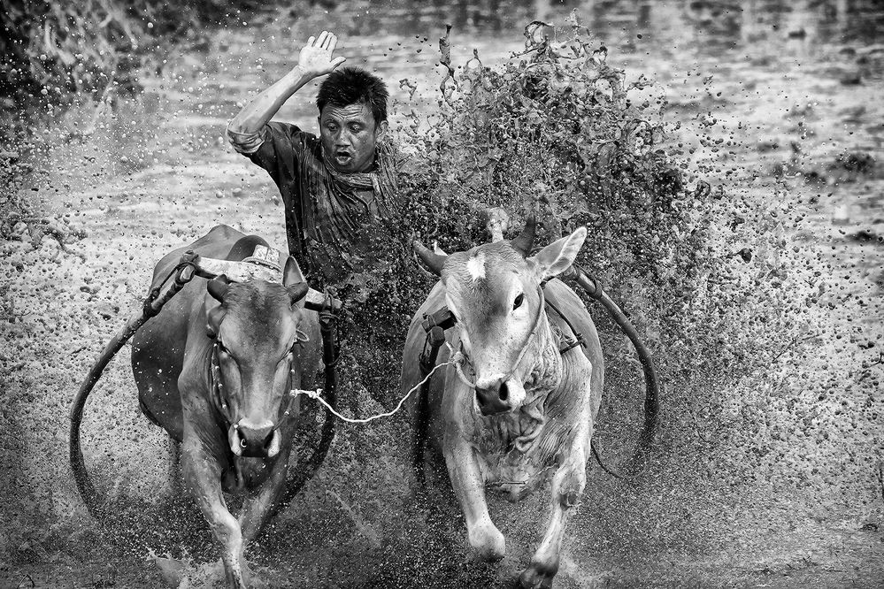 Photograph by Jurica Galic