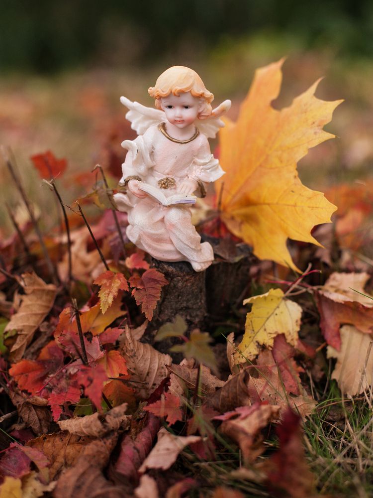 Photograph by Лолита Богачева