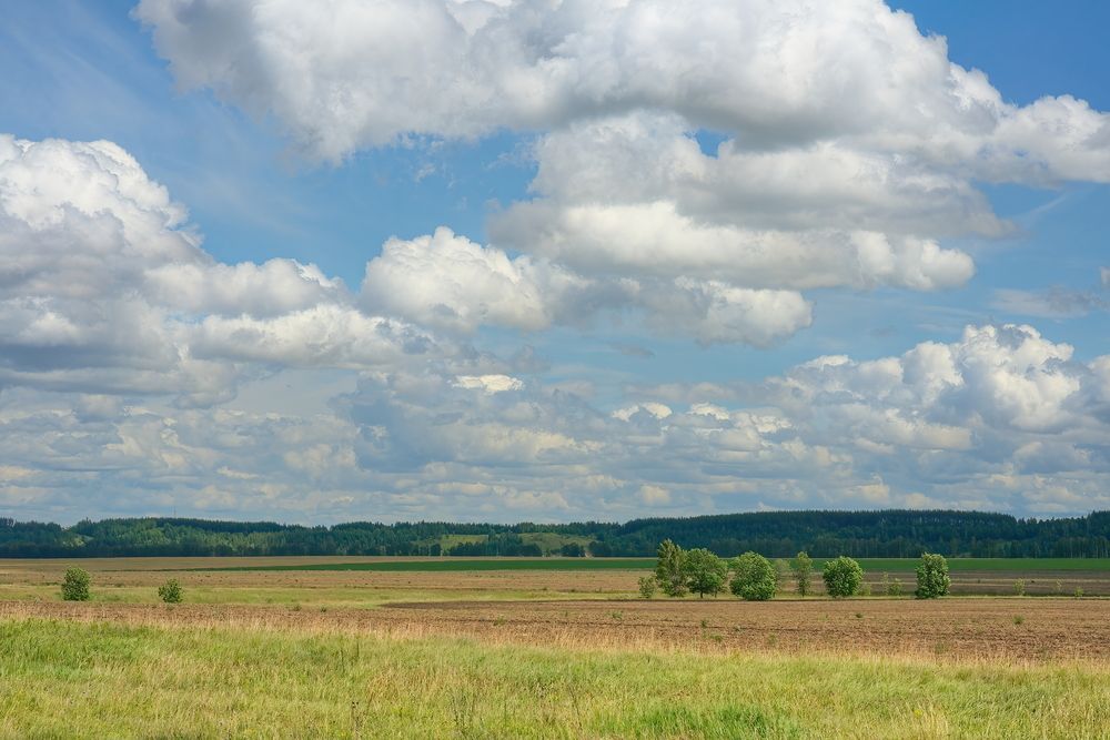 Photograph by Олег Шлыгин