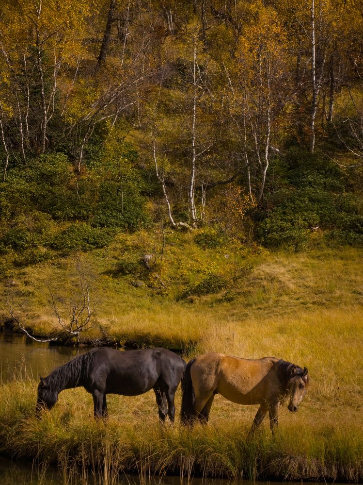 Photograph by Игорь Кабанов