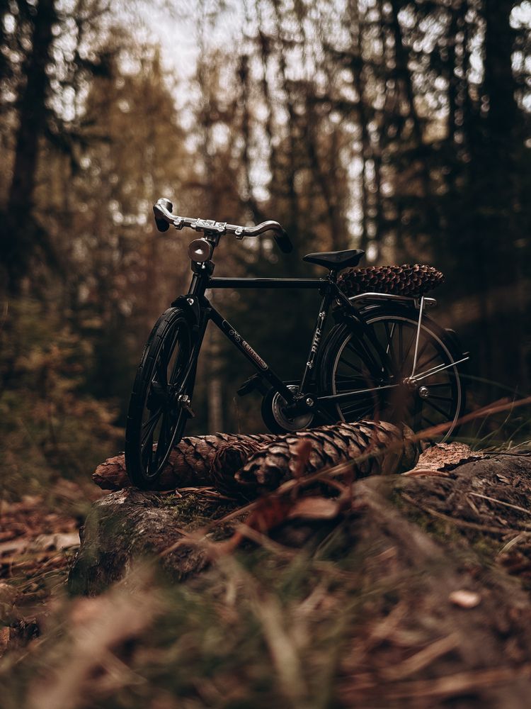 Photograph by Елена Михалева