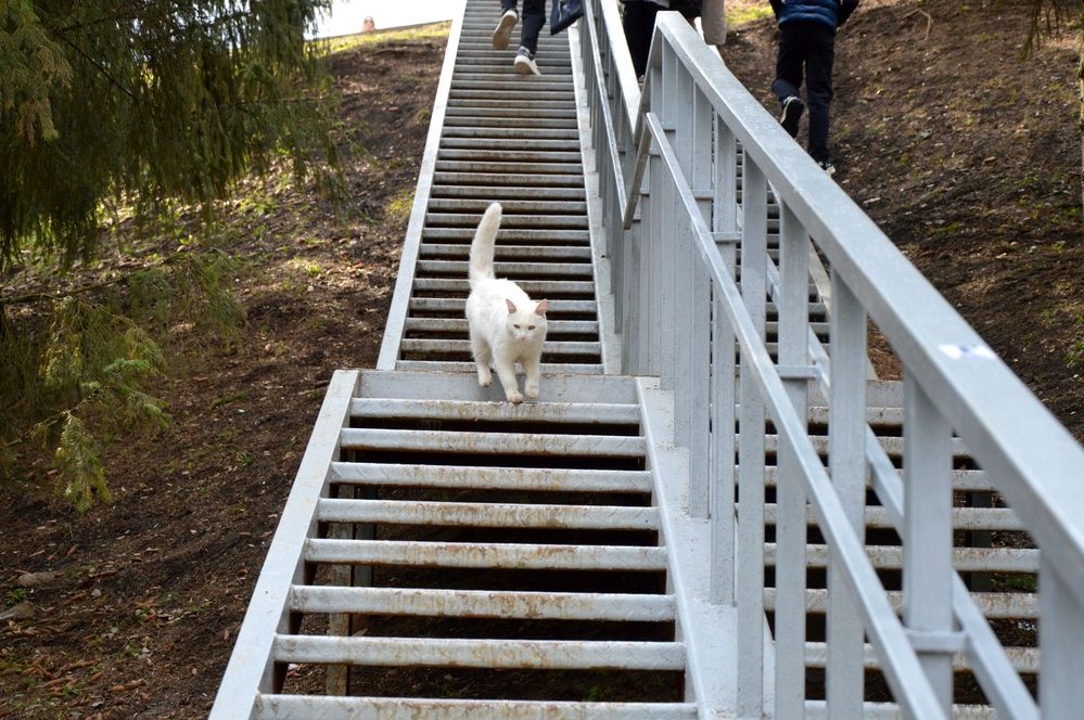 Photograph by Елена Савчук