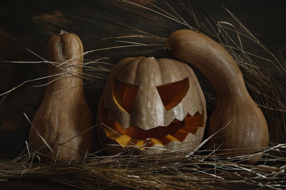 Photograph by Владимир Тузлай